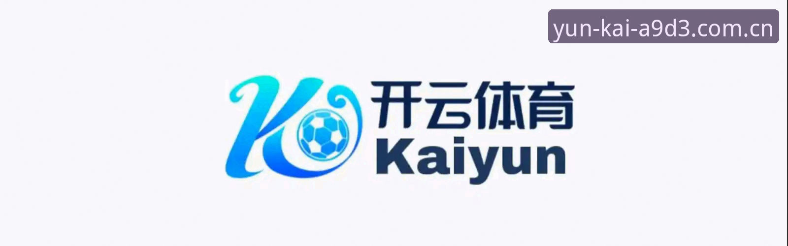 2026云开官方网站下载 2026云开官方网站下载 vs 普通体育平台:专业用户深度对比分析